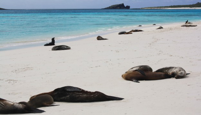 Quần đảo Galapagos, Ecuador