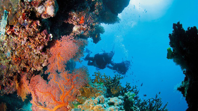 Rạn san hô Great Barrier Reef, Australia