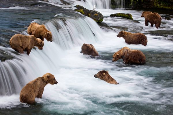 Alaska băng giá tiềm ẩn vẻ đẹp hoang dã