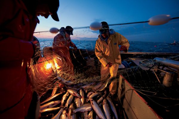 Alaska băng giá tiềm ẩn vẻ đẹp hoang dã