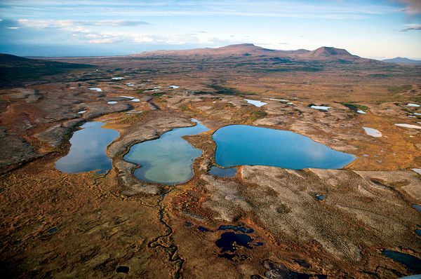 Alaska băng giá tiềm ẩn vẻ đẹp hoang dã