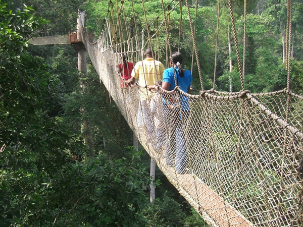 Cầu Canopy Ghana