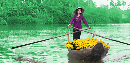  Đẩy mạnh thu h&uacute;t kh&aacute;ch du lịch về ĐBSCL
