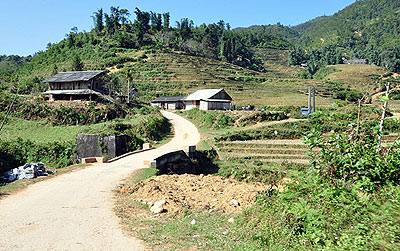 Dao 