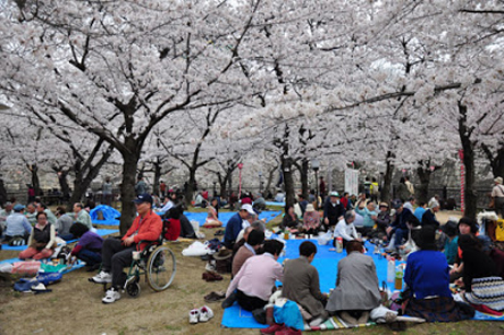 Hanami