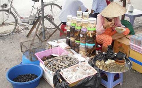 Chợ côn trùng có 1 không 2 ở Sài Gòn.