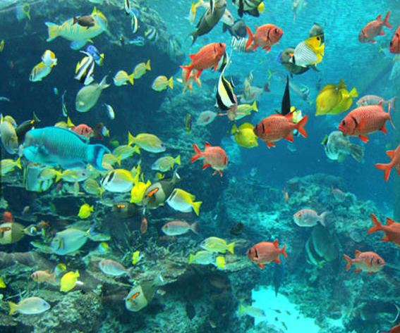 Đảo Okinawa l&atilde;ng mạn v&agrave; thơ mộng