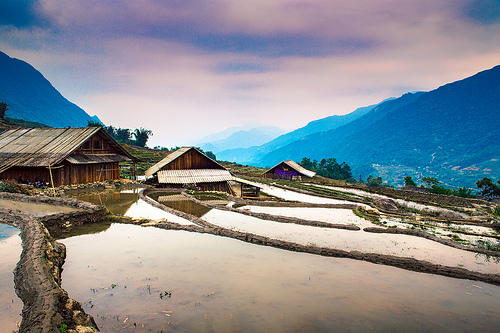 Nồng n&agrave;n vẻ đẹp phố huyện Sa Pa