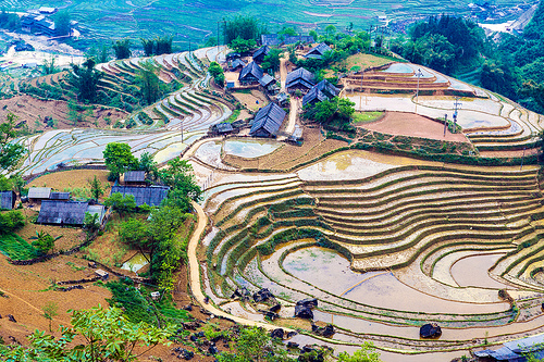 Nồng n&agrave;n vẻ đẹp phố huyện Sa Pa