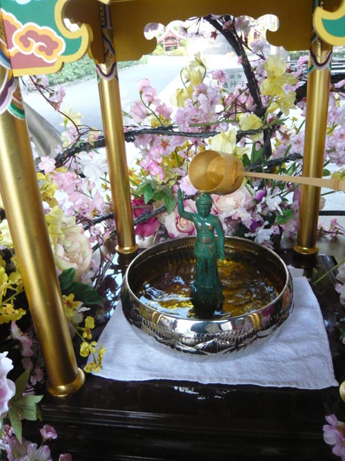 Linh thiêng nghi lễ tắm Phật trà xanh Nhật Bản