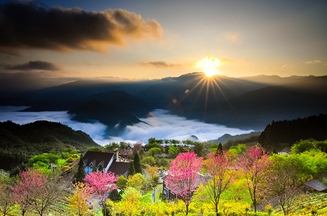 Bức ảnh bàn tay cụ bà ở Hội An được National Geographic đánh giá cao