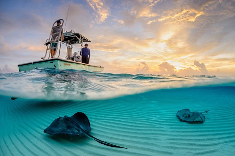 Bức ảnh bàn tay cụ bà ở Hội An được National Geographic đánh giá cao