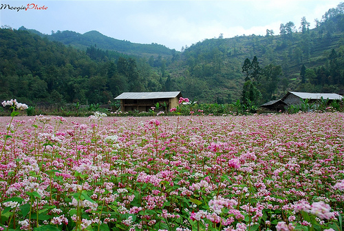 Văn h&oacute;a &yacute; thức bảo vệ cảnh quan