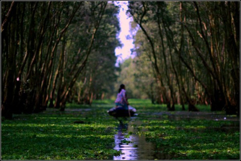 Đắng lòng vẻ đẹp ở An Giang - 4