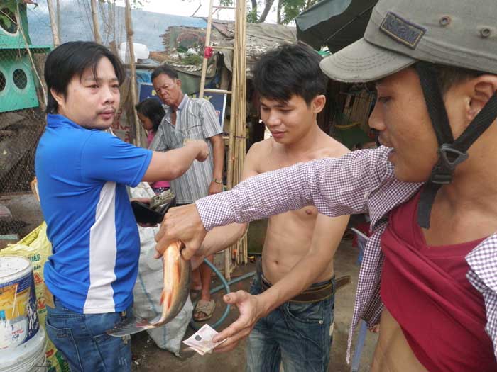 C&acirc;u c&aacute; nghĩa địa ở S&agrave;i G&ograve;n6