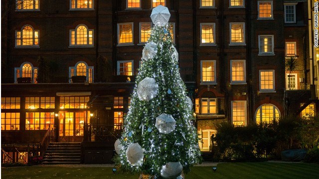 cay thong cua Fulton