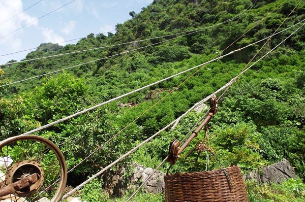 Dưới ch&acirc;n c&aacute;c ngọn n&uacute;i đ&aacute; tai m&egrave;o 