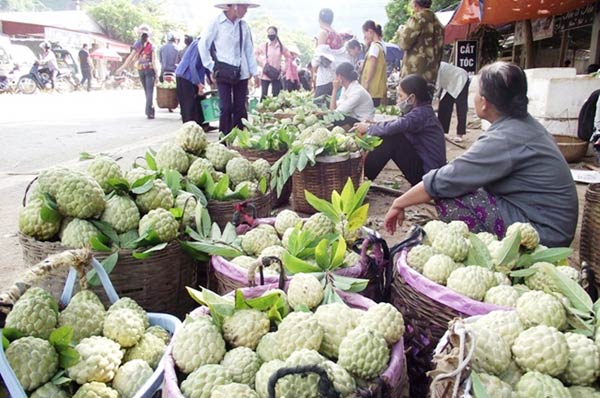 Chợ na Đồng B&agrave;nh