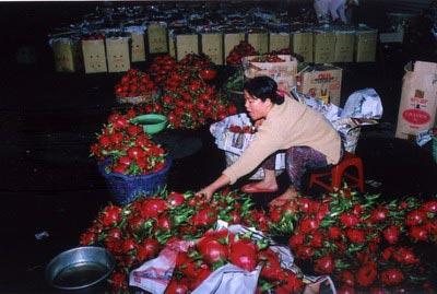 chợ &acirc;m phủ Đ&agrave; Lạt