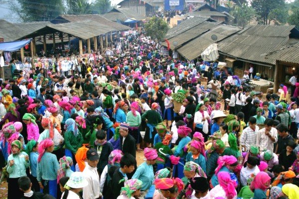 cho tinh Khau Vai