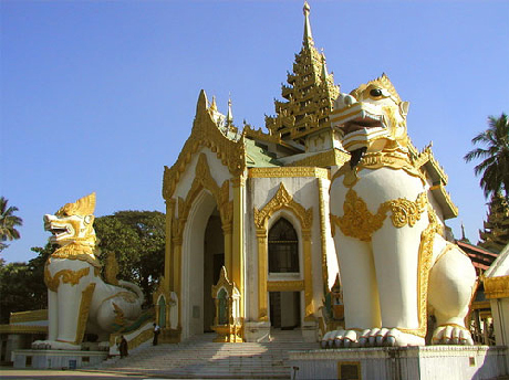 chua dat vang2