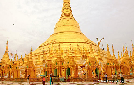 chua dat vang5