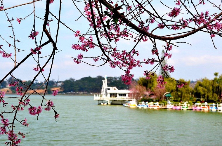 Đ&agrave; Lạt2