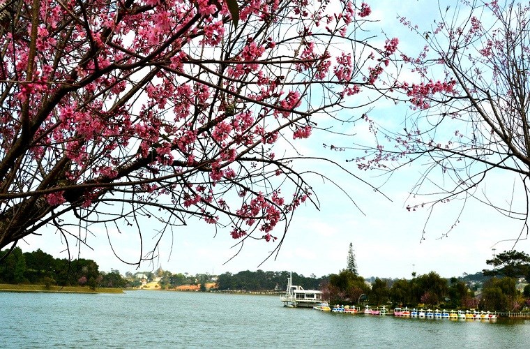 Đ&agrave; Lạt3