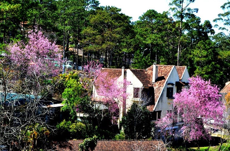Đ&agrave; Lạt4