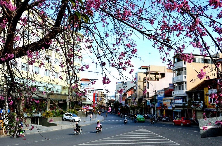 Đ&agrave; Lạt8