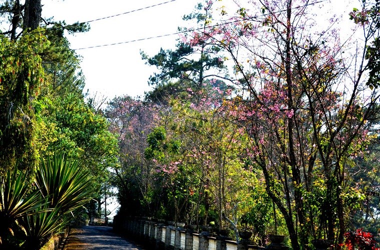 Đ&agrave; Lạt9