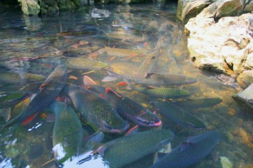 Kinh nghiệm cho chuyến kh&aacute;m ph&aacute; th&agrave;nh nh&agrave; Hồ