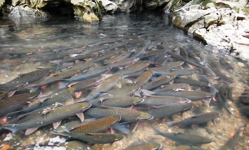 Kinh nghiệm cho chuyến kh&aacute;m ph&aacute; th&agrave;nh nh&agrave; Hồ