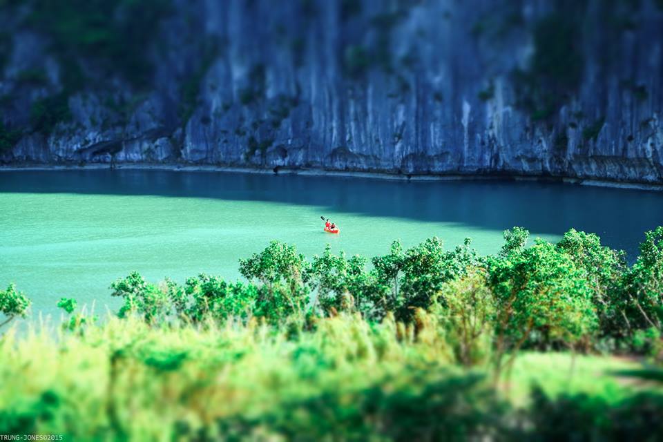 Đảo Mắt Rồng Hạ Long Đảo Mắt Rồng Hạ Long