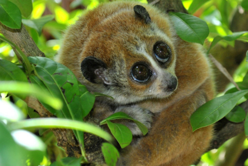 Du lịch Đ&agrave; Lạt