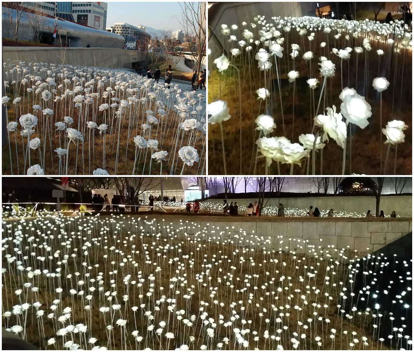 12 việc nhất định phải làm khi đi du lịch Seoul vào mùa đông 12 việc nhất định phải làm khi đi du lịch Seoul vào mùa đông