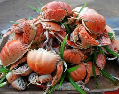 Cua huỳnh đế Quy Nhơn Cua huỳnh đế Quy Nhơn