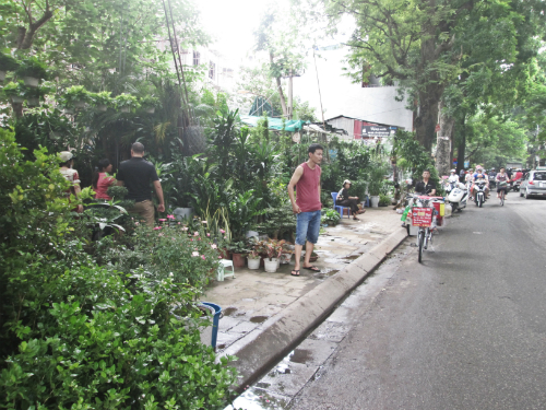 Phố phường H&agrave; Nội