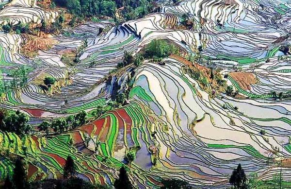 Ruộng bậc thang Banaue ở Philippines