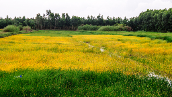 Kinh nghiệm phượt miền T&acirc;y