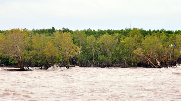 Kinh nghiệm phượt miền T&acirc;y7