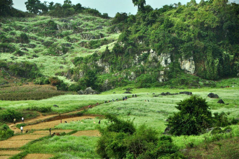 Lãng đãng Mộc Châu