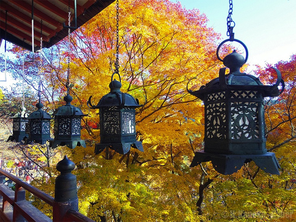 Mùa thu ở Nara