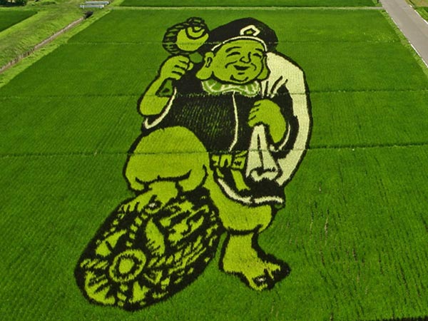 Ấn tượng nghệ thuật Tanbo trên đồng lúa Nhật Bản 
