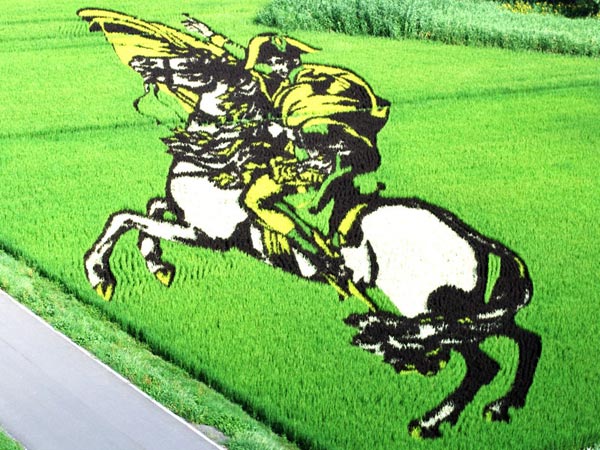 Ấn tượng nghệ thuật Tanbo trên đồng lúa Nhật Bản 
