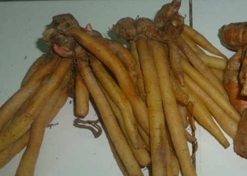  Ngải b&uacute;n l&agrave;m tăng hương vị trong b&uacute;n miền T&acirc;y