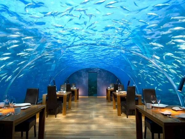 Nhà hàng dưới đáy biển