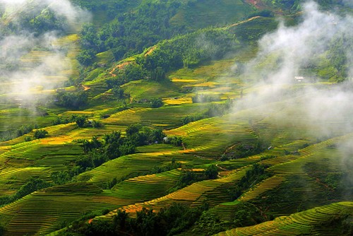 Sapa th&acirc;n thương qua ống k&iacute;nh người Th&aacute;i Lan