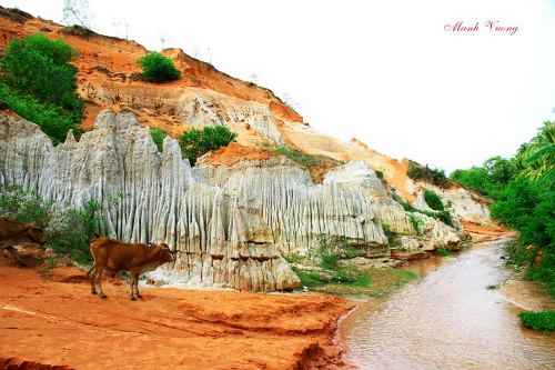 Ngất ngay trước nhan sac do cua suoi tien mui ne