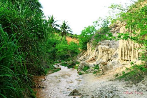 Ngất ngay trước nhan sac do cua suoi tien mui ne